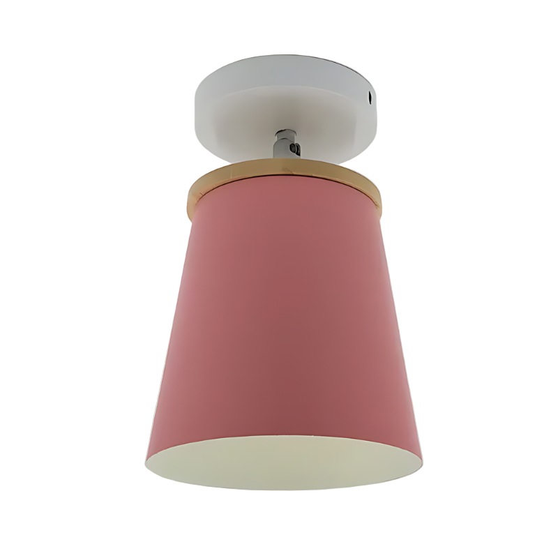 LED Circular Flush Mount Ceiling Light Fixture