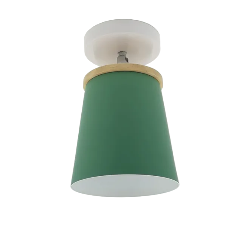 LED Circular Flush Mount Ceiling Light Fixture