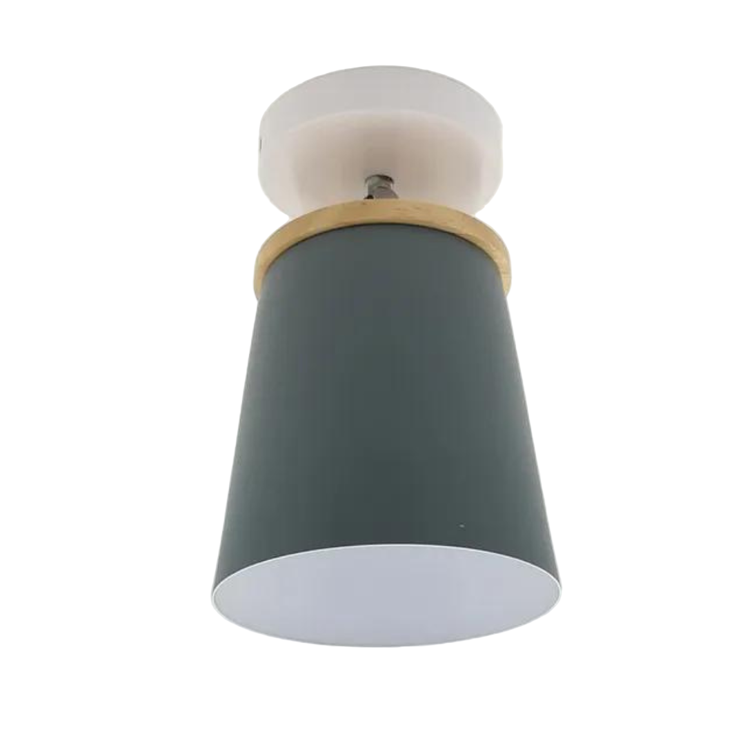LED Circular Flush Mount Ceiling Light Fixture